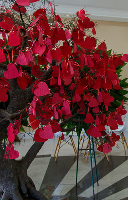 Floricultura e Distribuidora de flores. Várias opções de Arranjos e Coroas de flores naturais